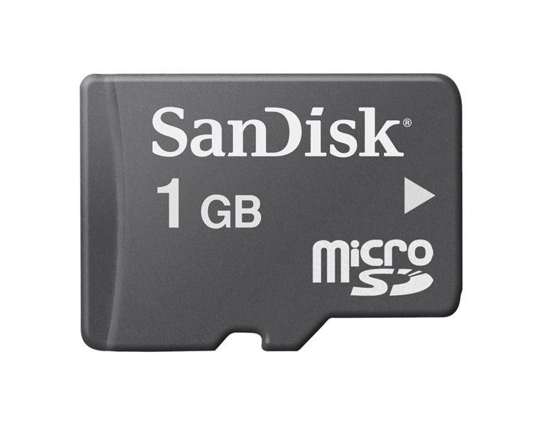   micro SD 1 Gb